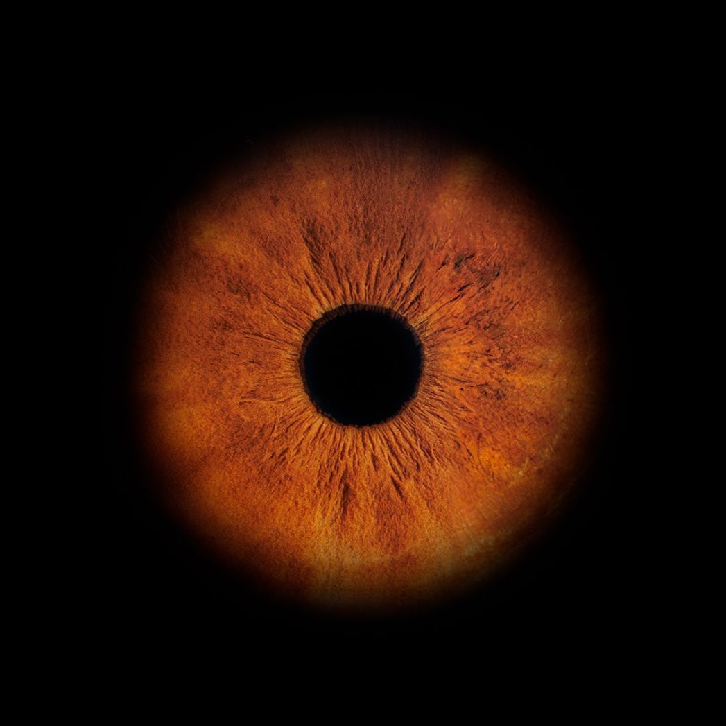 Eight sequential stages of a solar eclipse transition from full sun to total eclipse shown in reddish-orange hues.