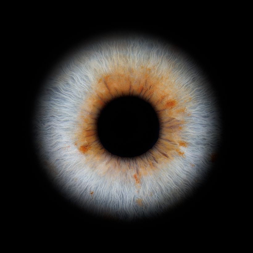Time lapse sequence showing the fading corona of a solar eclipse against a black background.