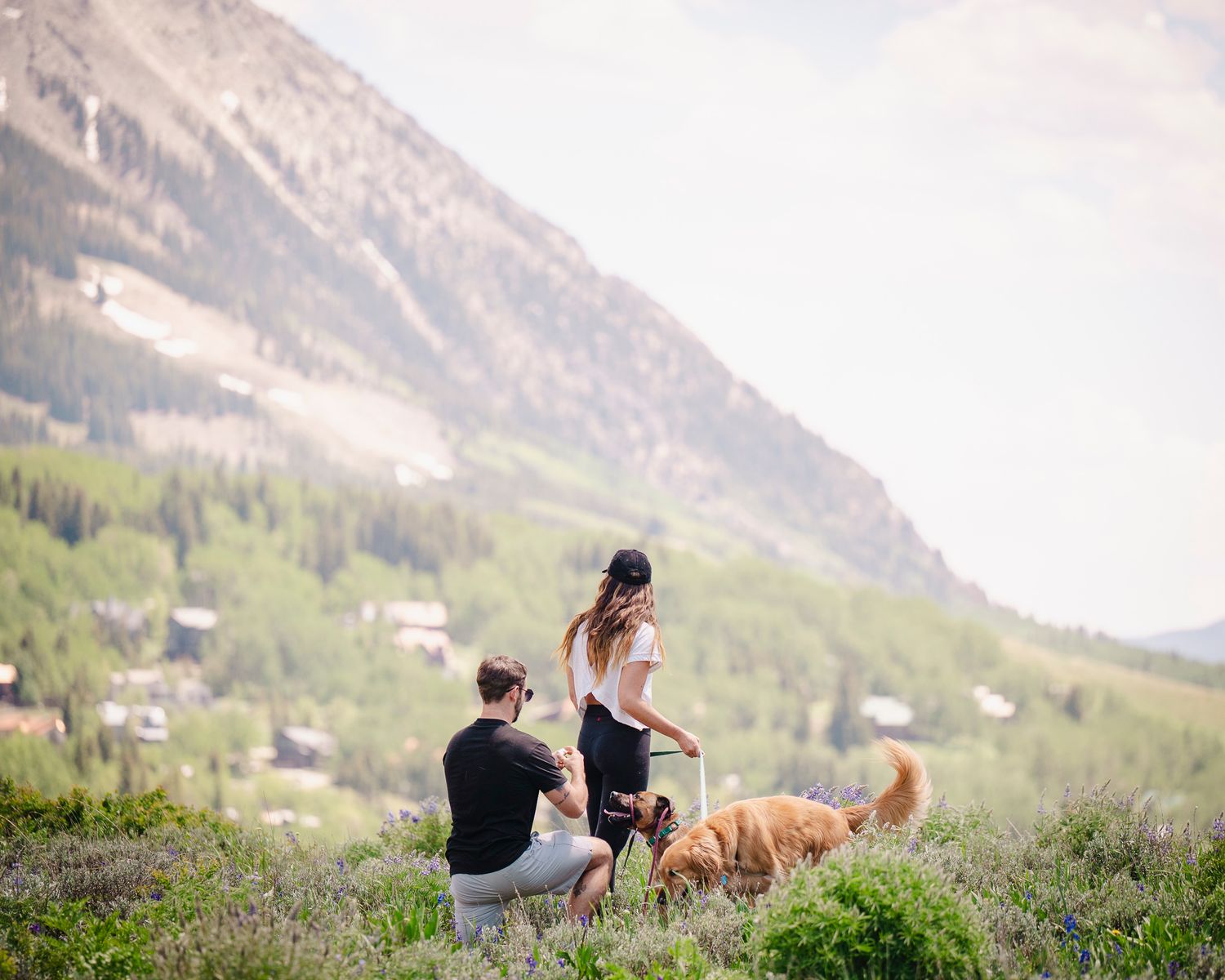 Scenic mountain view with people and dogs resting on wildflower-covered slope.