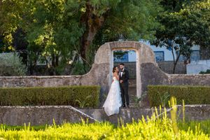 Wedding photography in a garden setting with yellow wildflowers in foreground.