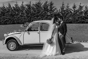 Wedding couple standing beside classic cars on a sunny day.