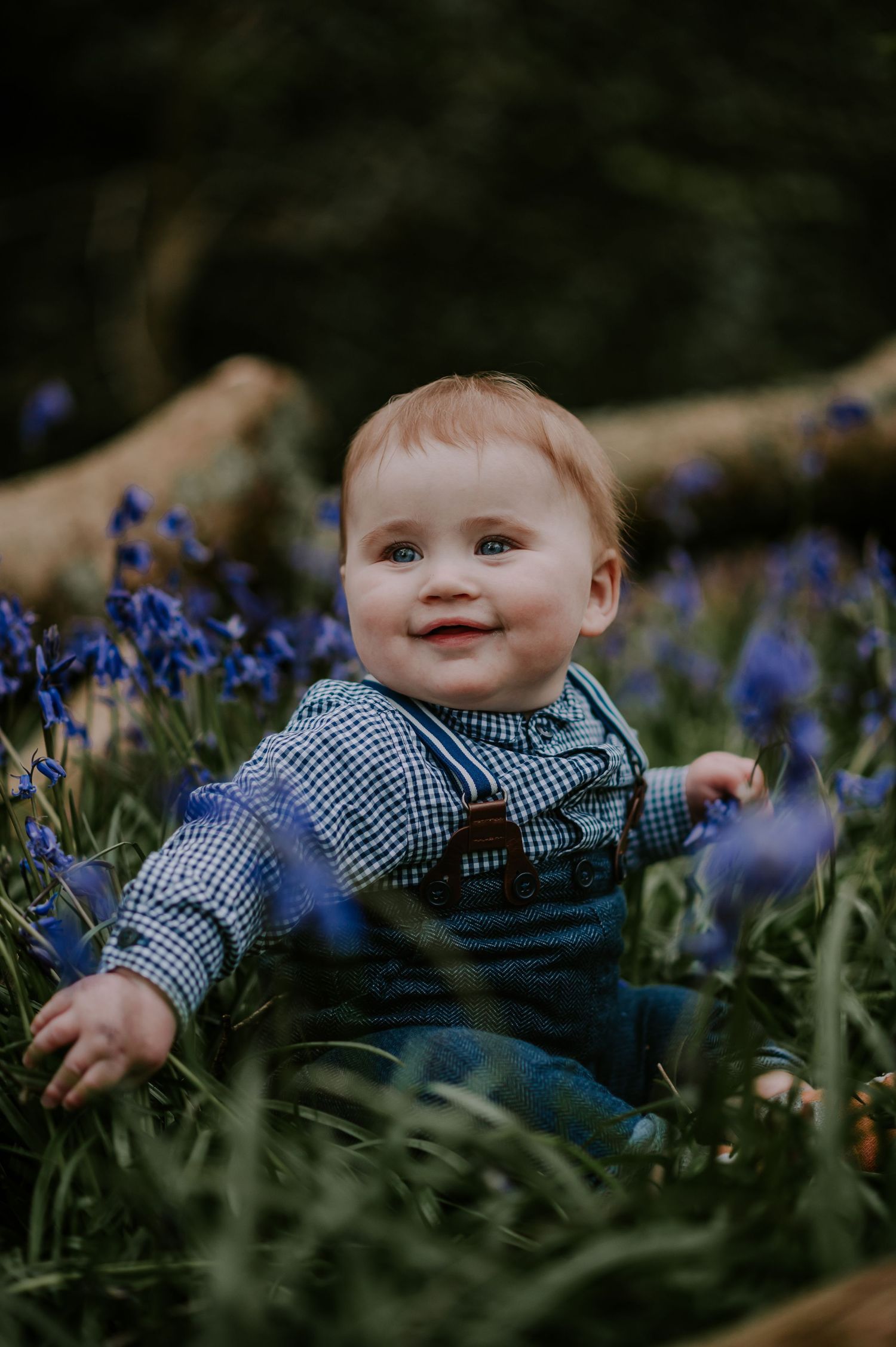 A small child in gingham shirt and overalls sits among blooming purple bluebells in a garden setting.