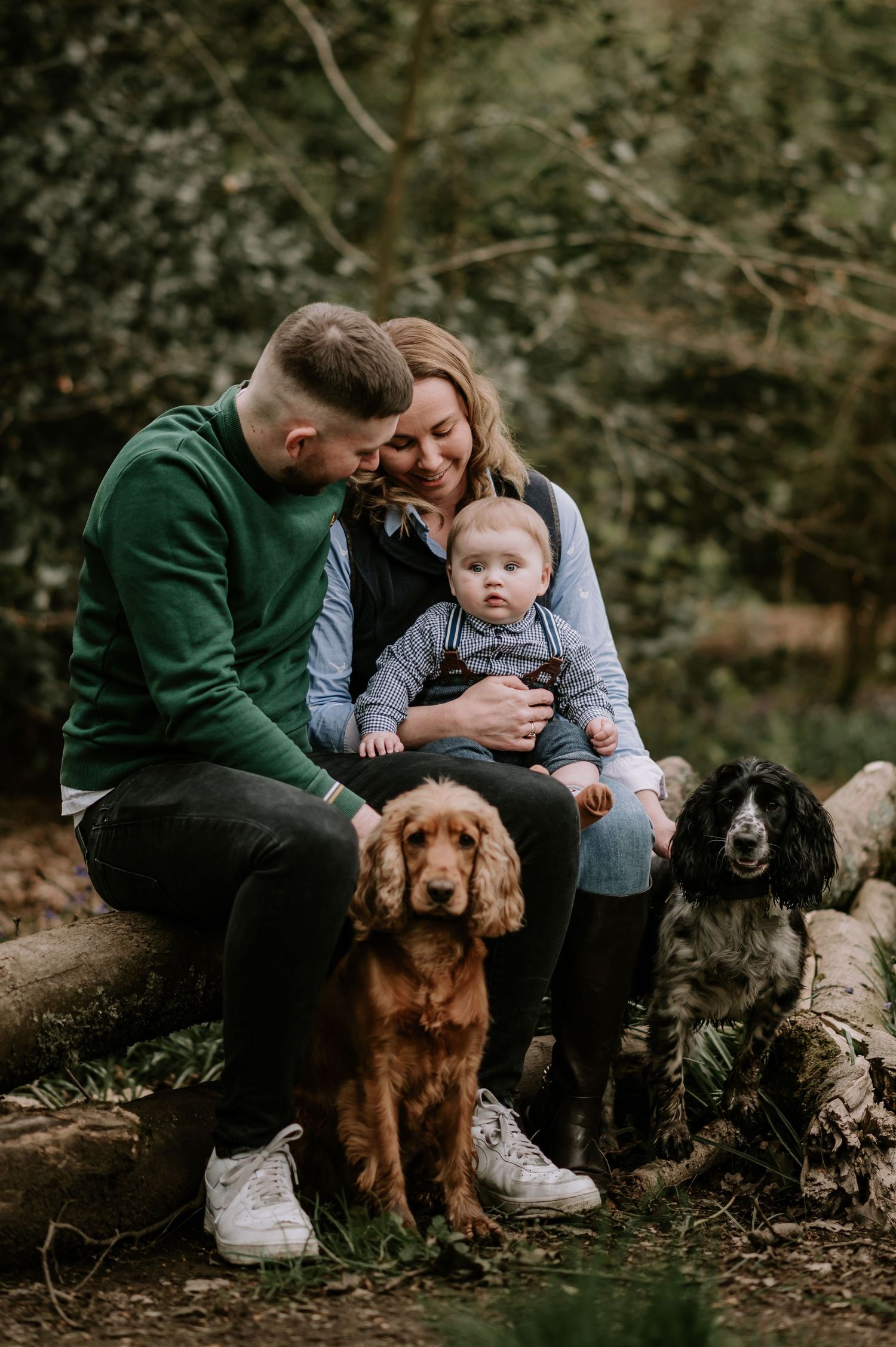Family sits together on log in forest with their golden retriever and black dog on autumn day.