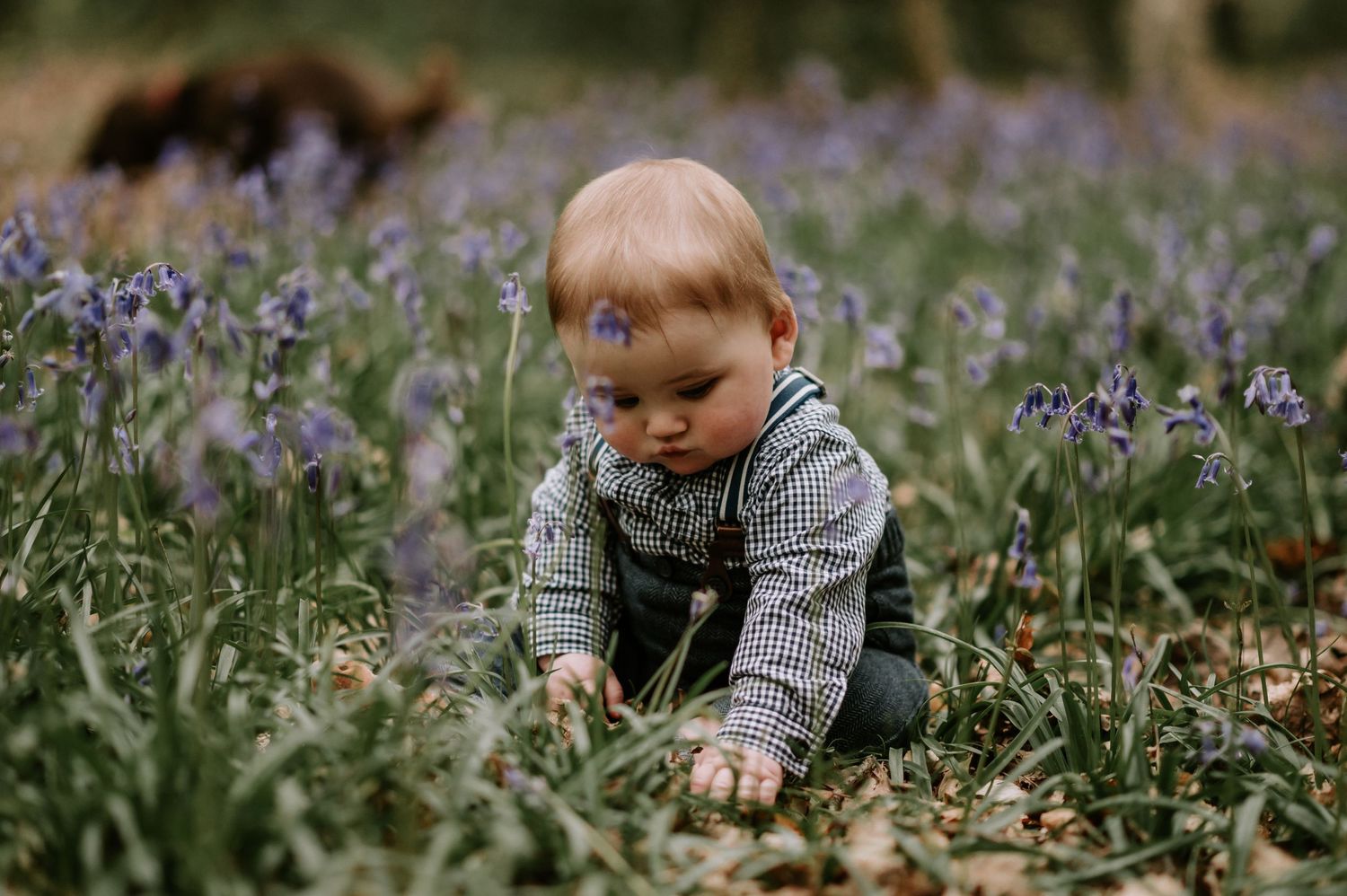 A small child in a striped shirt explores a field of blooming purple irises on a spring day.