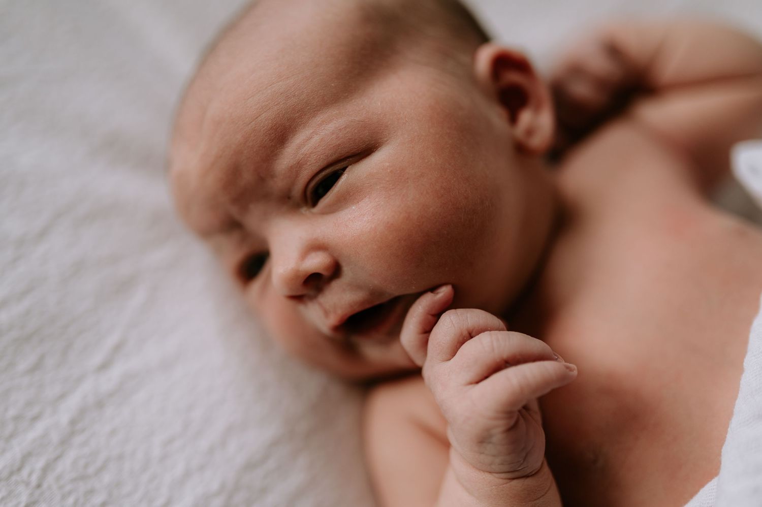 Close up of tender newborn with a curious expression laying on white fabric while sucking on small hand.