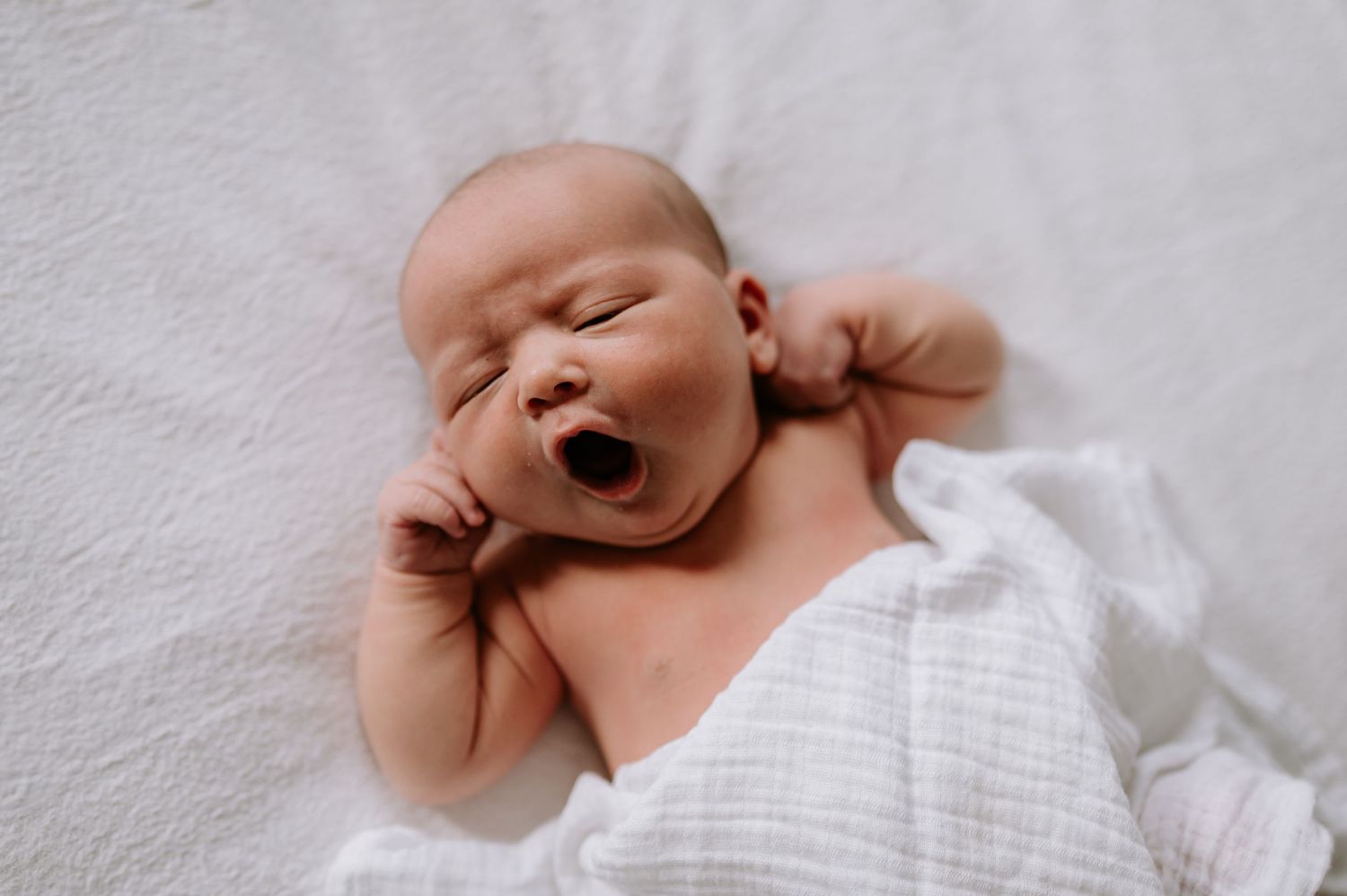 Newborn baby yawning while wrapped in white swaddle blanket on light background.