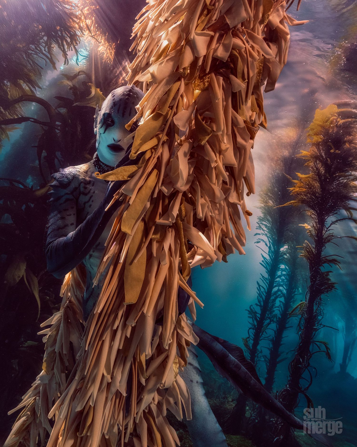 A series of underwater photos showing kelp forests illuminated with golden sunlight against a deep turquoise background.