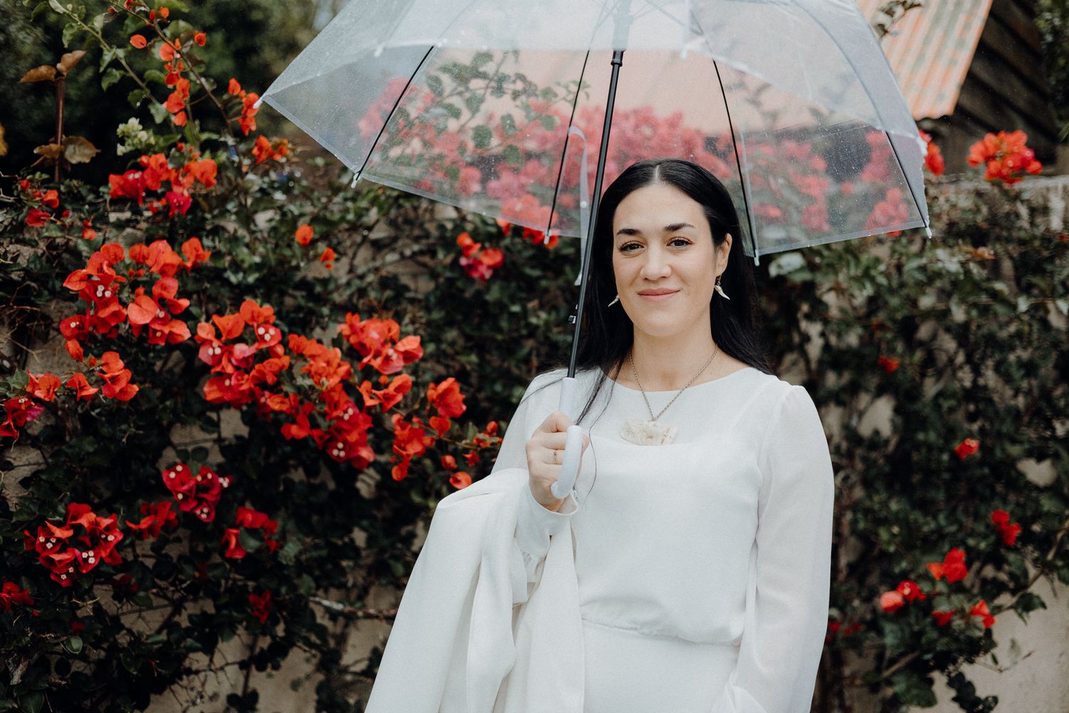 A person holding a clear umbrella stands against vibrant red flowering bushes in a white dress.