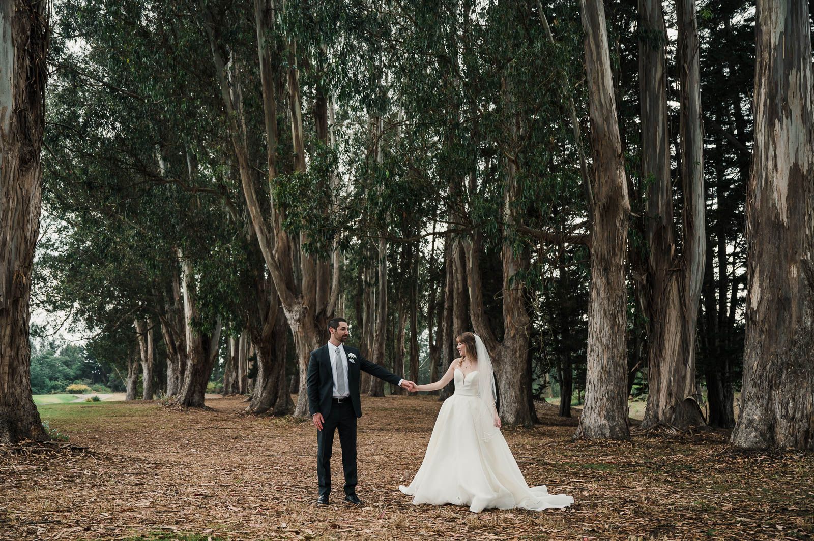 Bride and groom standing in the Cypress grove holding hands and looking at each other