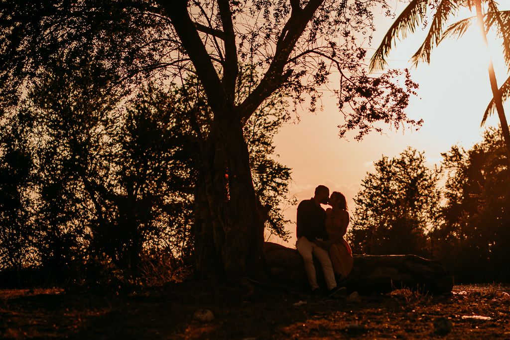 silhouette of a couple kissing under a tree