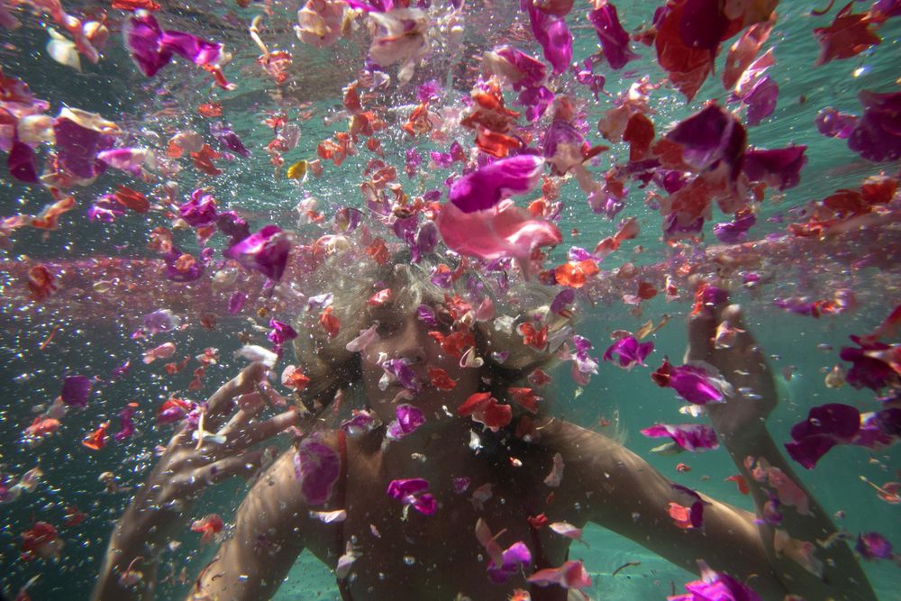 Petals floating in front of a girls face underwater
