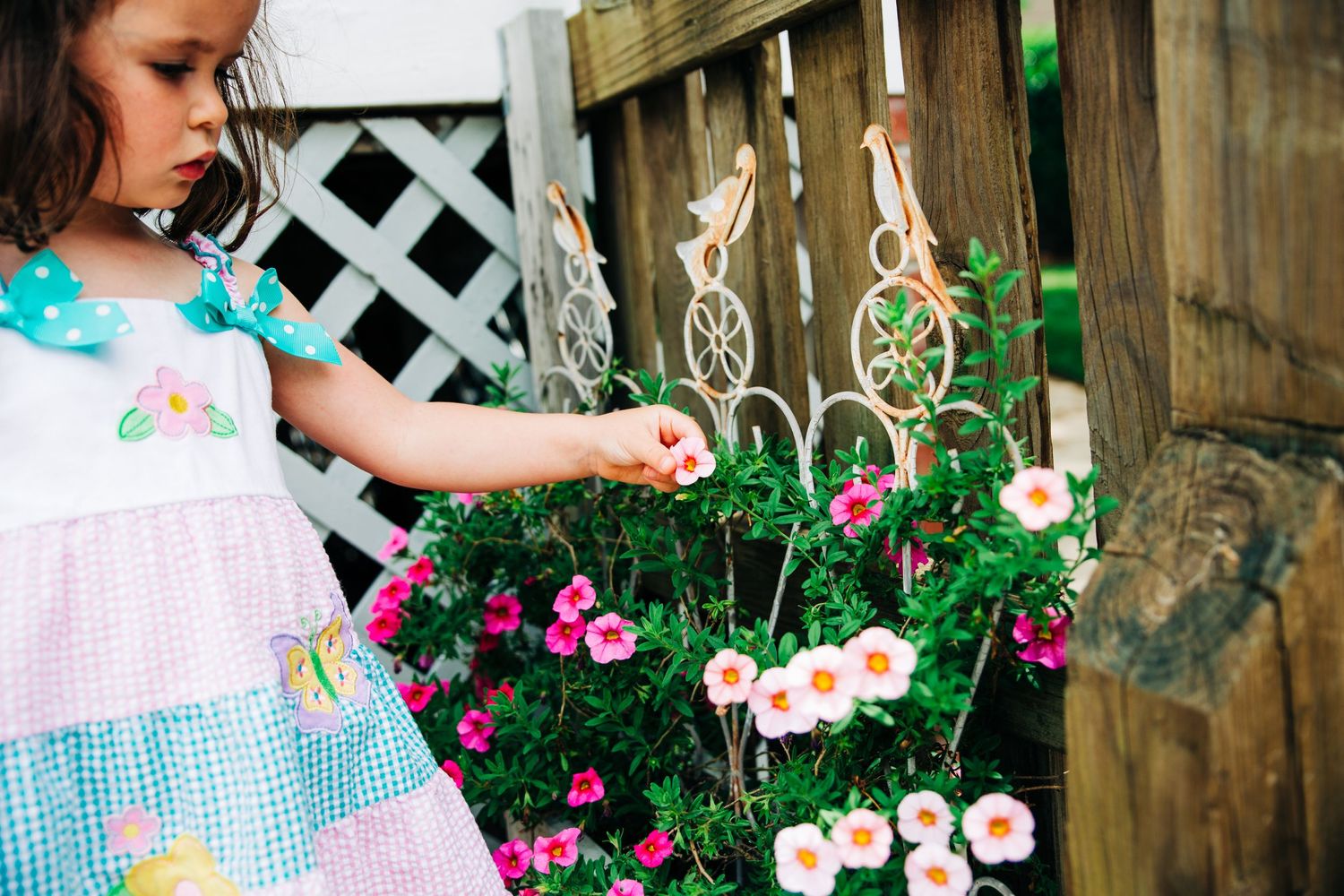 Little girl touching flowers in backyard