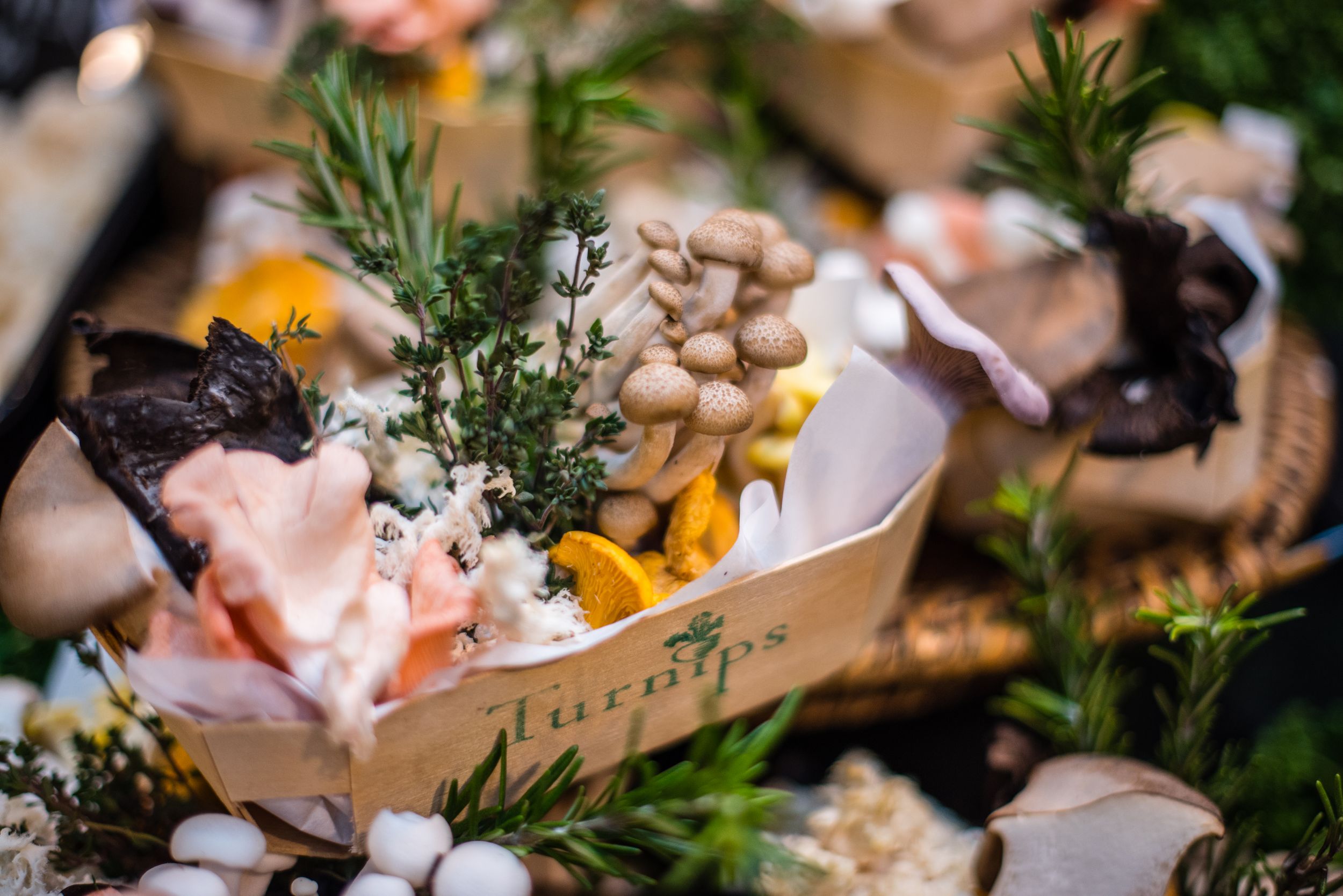 Mushroom display at Borough Market, London