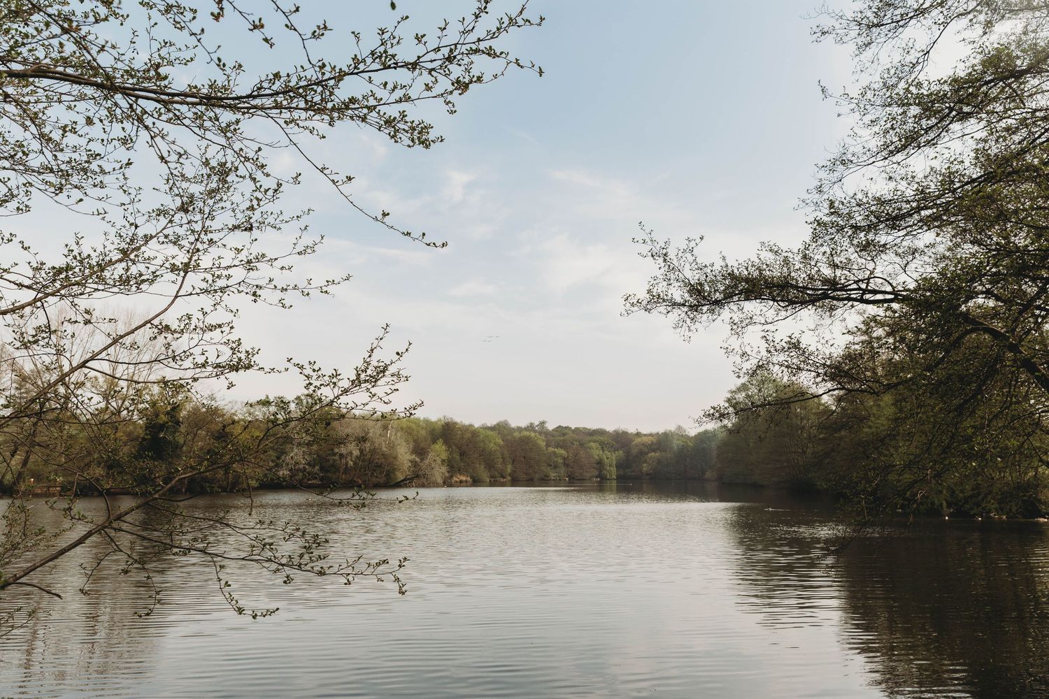 south Weald country park Brentwood lake