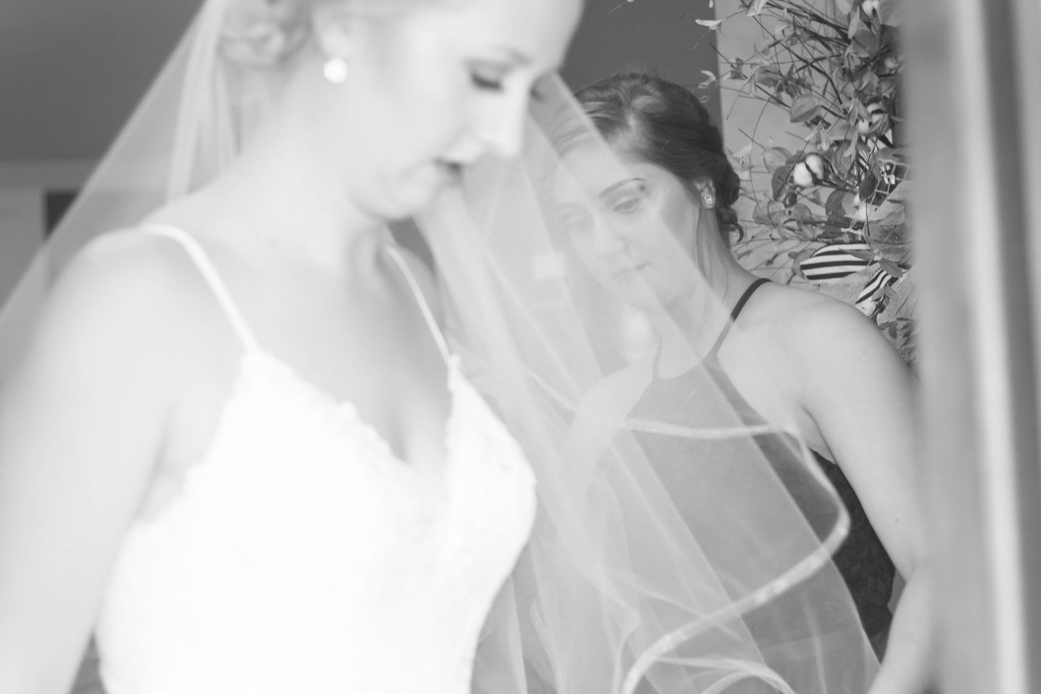 Dixon IL Wedding Photographer || Northern IL Wedding