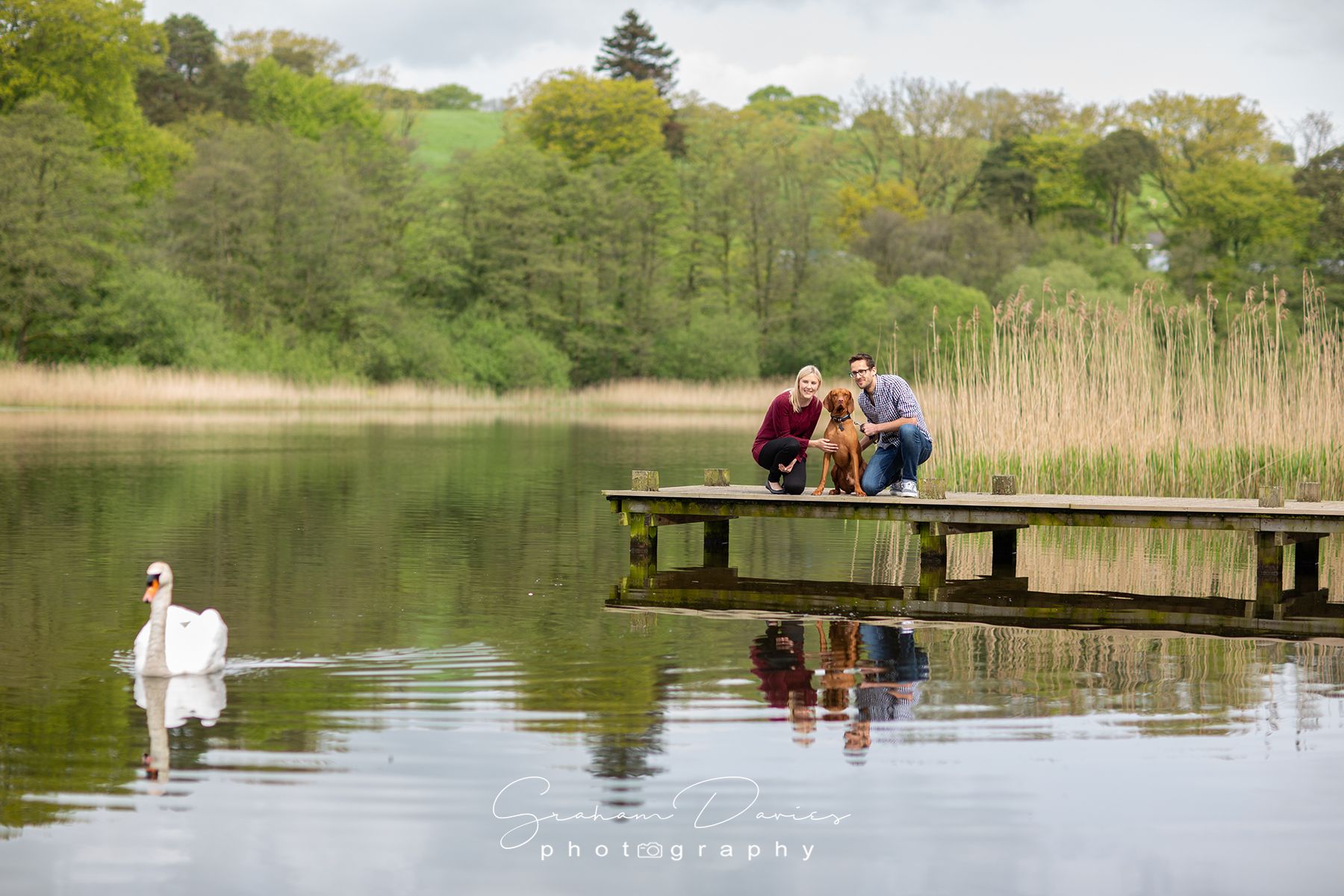 swans and dogs at hensol castle engagement photoshoot
