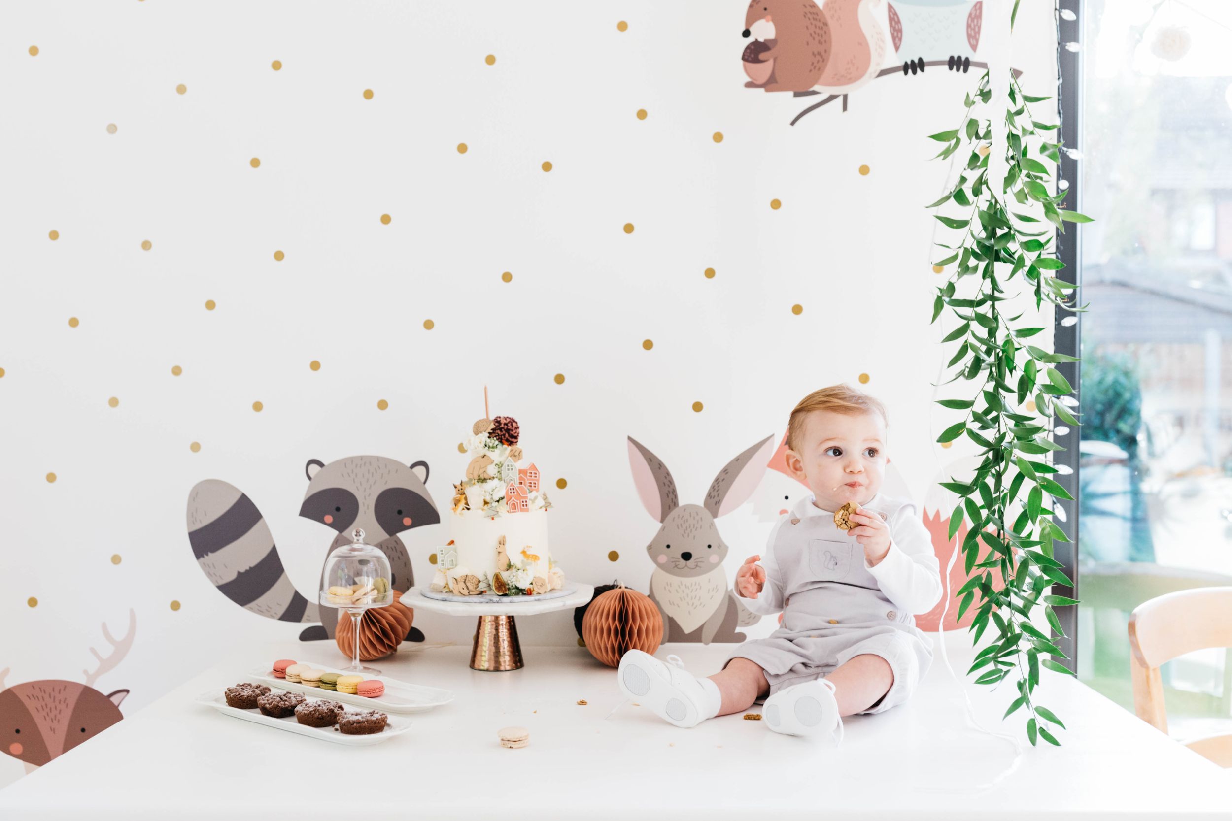 baby first birthday party