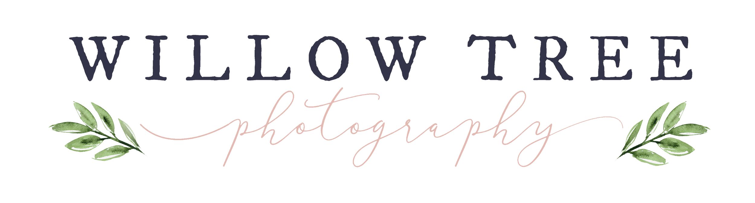red wing mn newborn, baby & family photographer