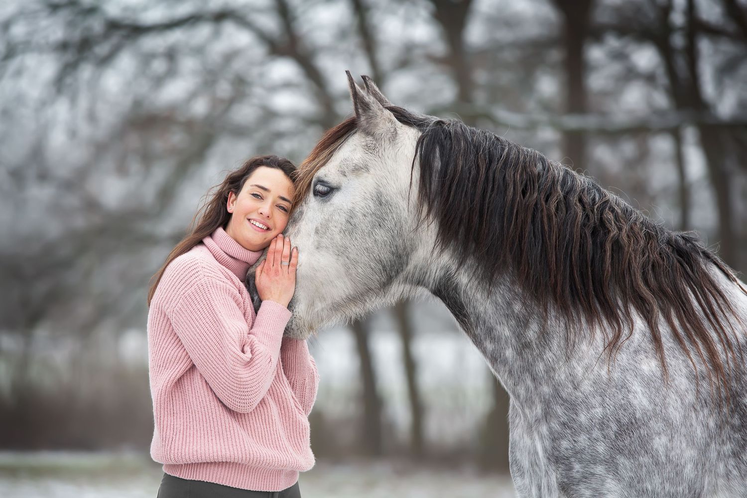 Paardenfotografie tips