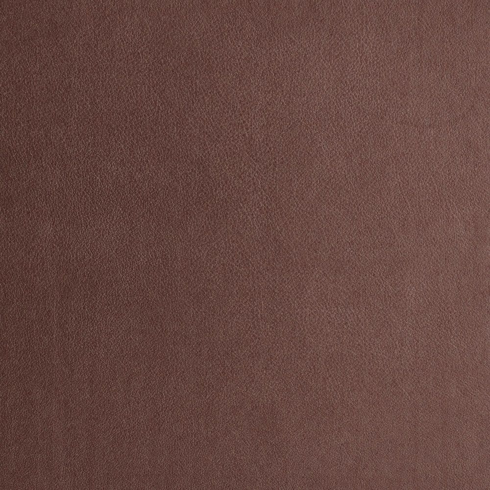 Album Design Swatches