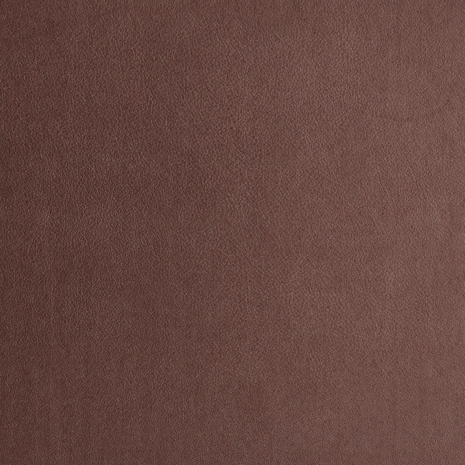 Album Design Swatches