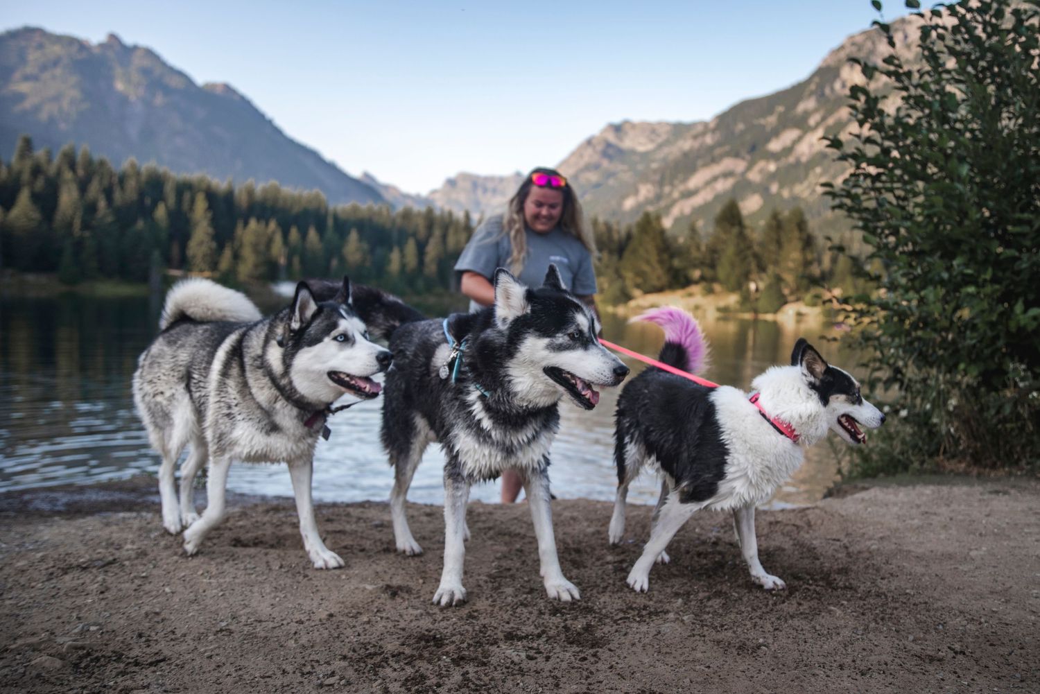 Tacoma dogs on leash or off leash during your session