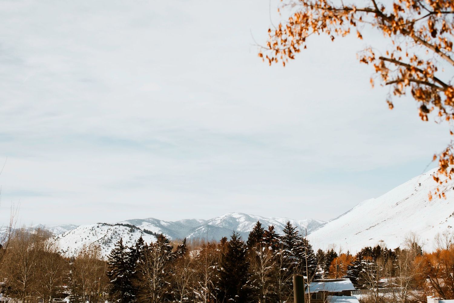 Mountain landscape at a Jackson, Hole Elopement by Carli Layton Photography, a Texas Elopement Photographer.