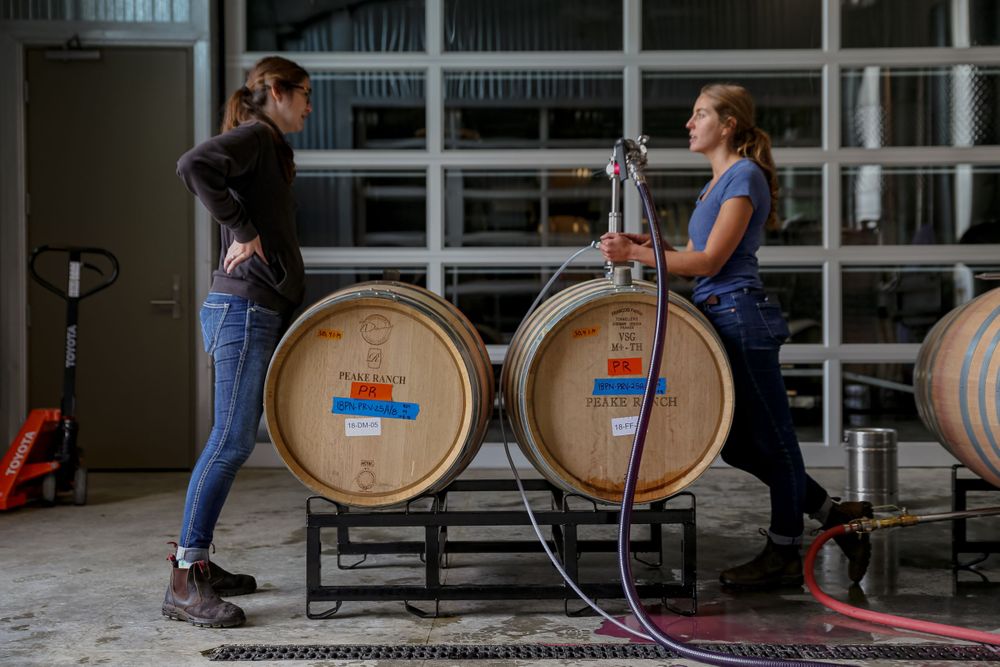 Women winemaker portraits. Winemaker Wynne and Assistant Winemaker Lauren talking while racking wine at Peake Ranch.