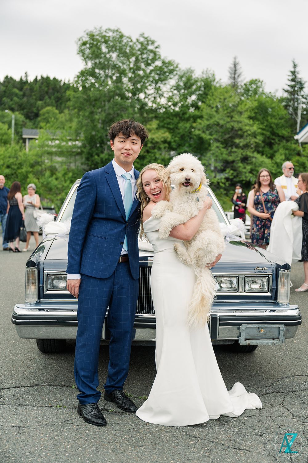Newlyweds pose with their fluffy white dog in front of a vintage Cadillac after their wedding ceremony.