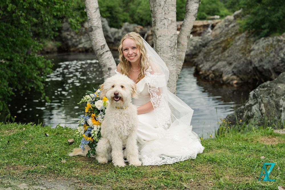 Bride in white gown poses with fluffy white dog on grassy area near water.