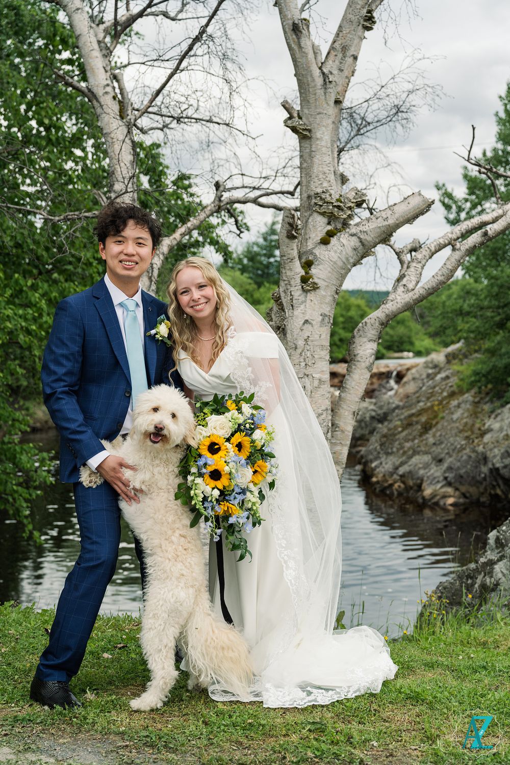 Wedding couple poses with their white fluffy dog beneath birch tree by waterfront.