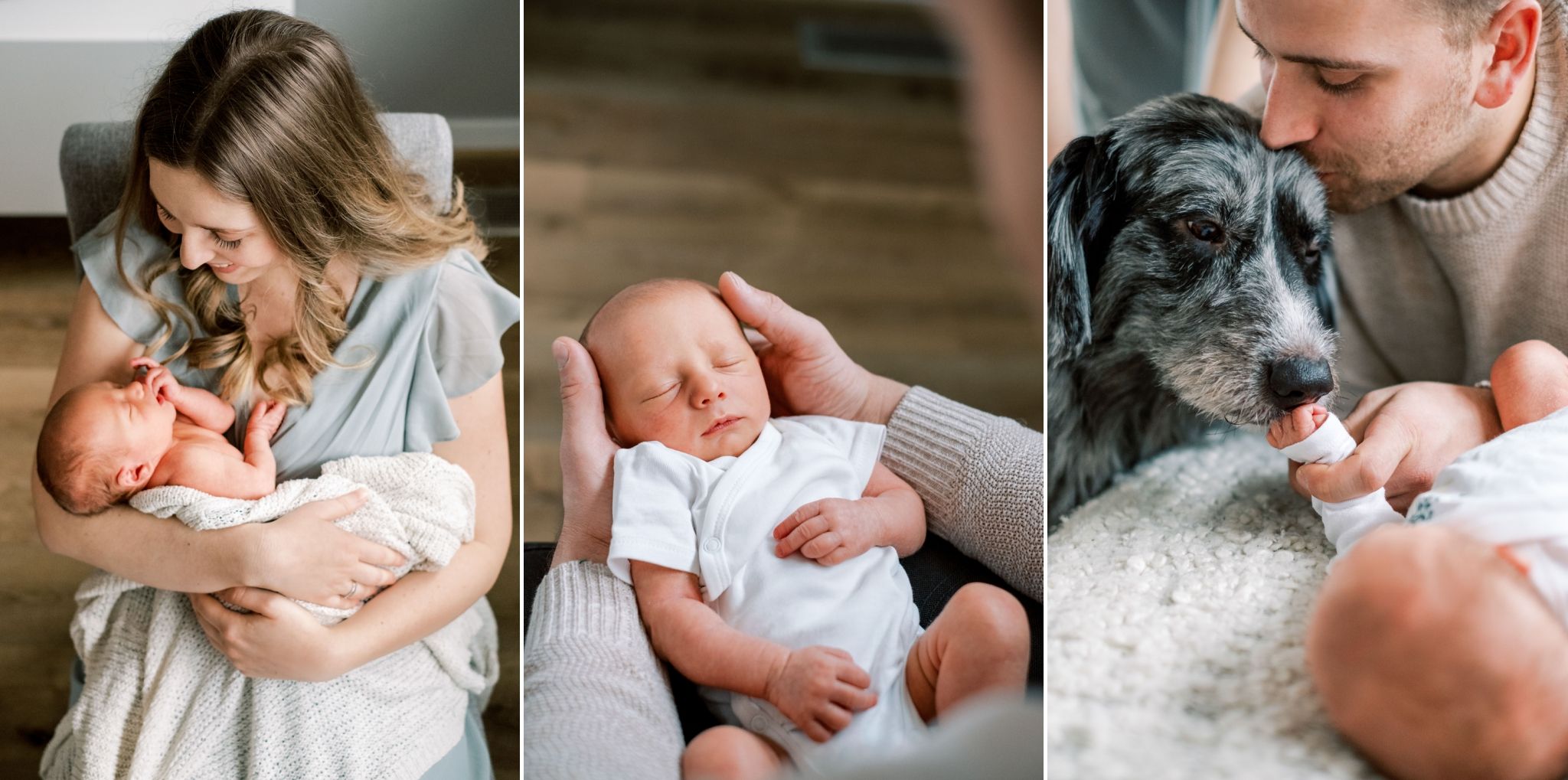 Mama, Papa und Hund mit dem Neugeborenen zuhause
