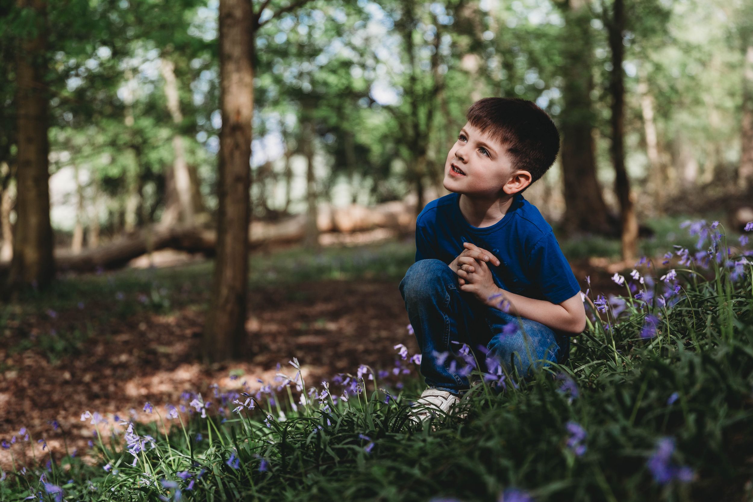 little boy sitting down bluebells South Weald