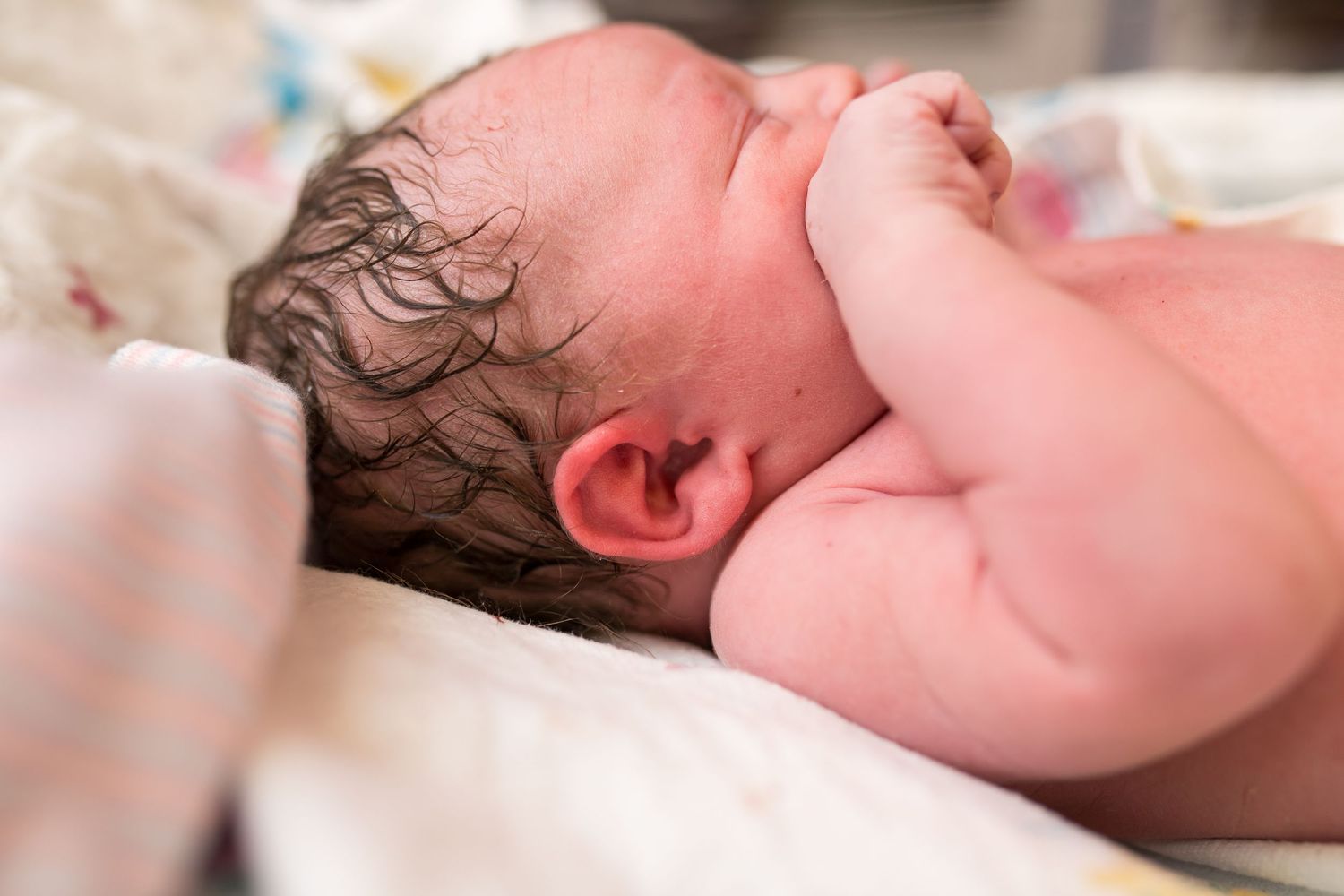5 (Yes, FIVE) Stages of Pregnancy From a Northern Virginia Maternity, Birth, and Newborn Photographer