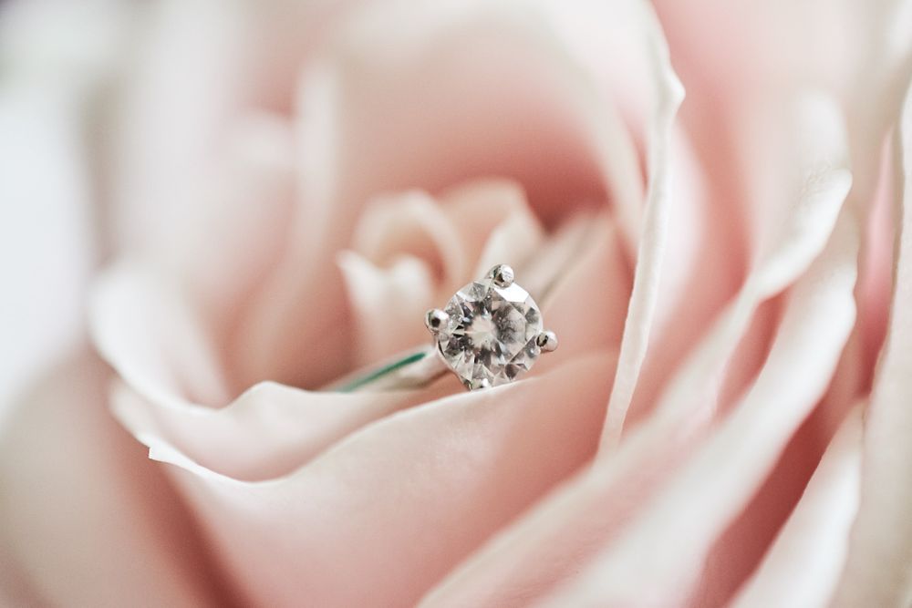 brides engagement ring sits inside pink rose at The Boathouse, Ormesby. by Norfolk Wedding Photographer Faye Amare