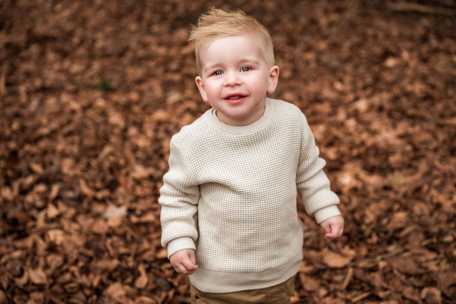 Toddler boy stomping in Autumn leaves by Kate Cashin Photography.