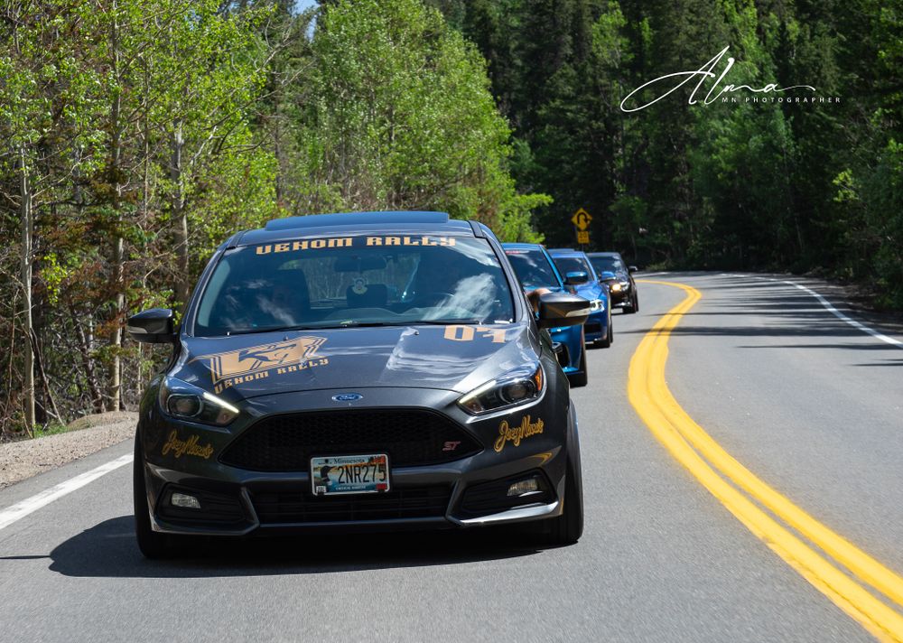 Line of modified Ford Focus cars driving on a winding forest road.