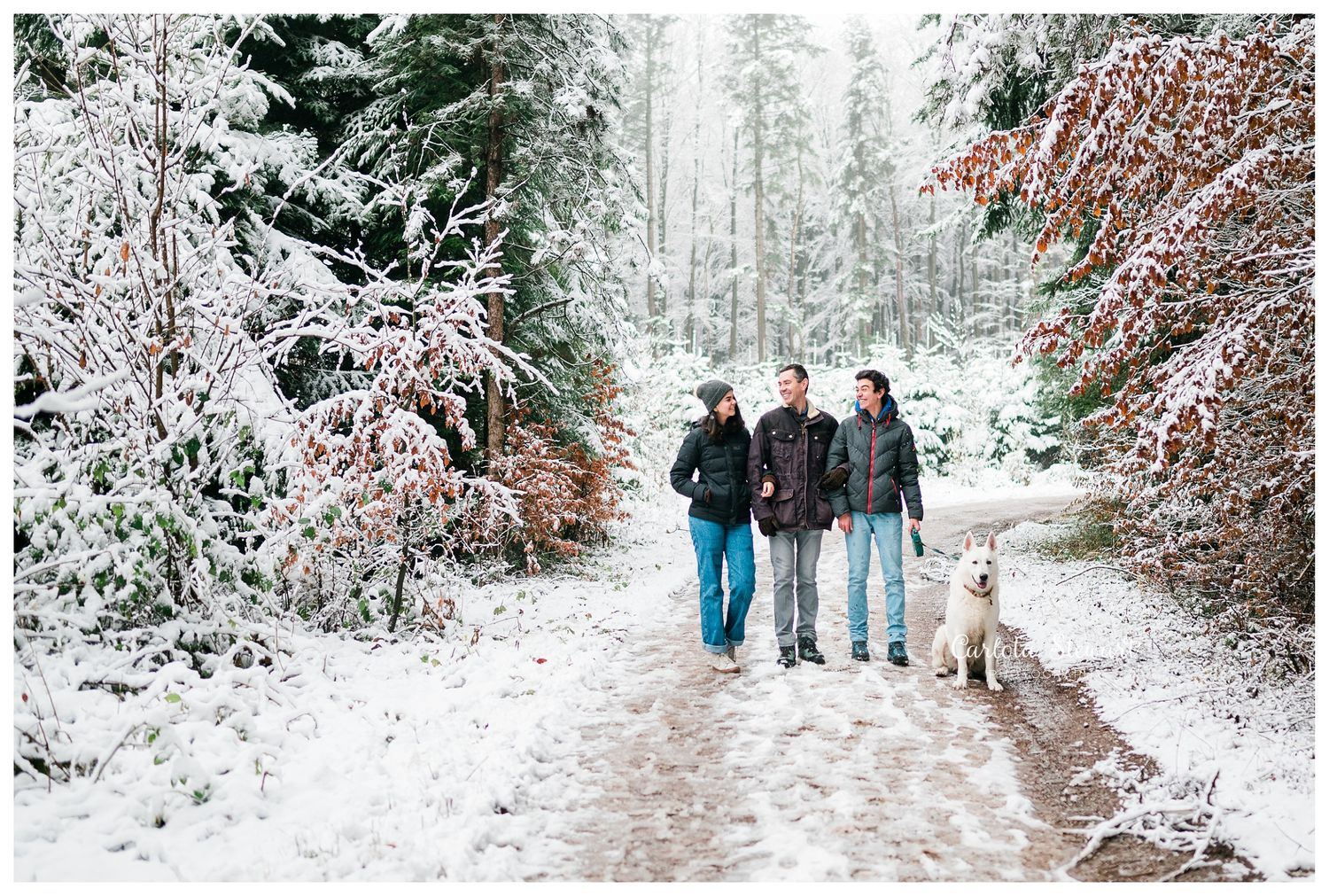 Family walking in the snow in the woods in Lower Autria with a white swiss shepherd dog