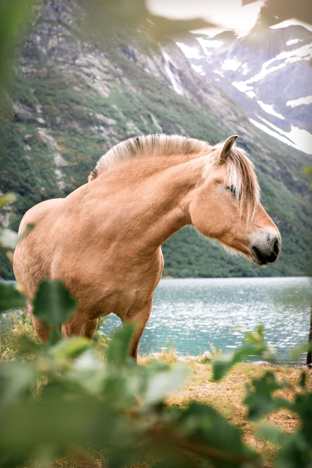 hest malin berdal
