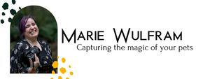Author Signature