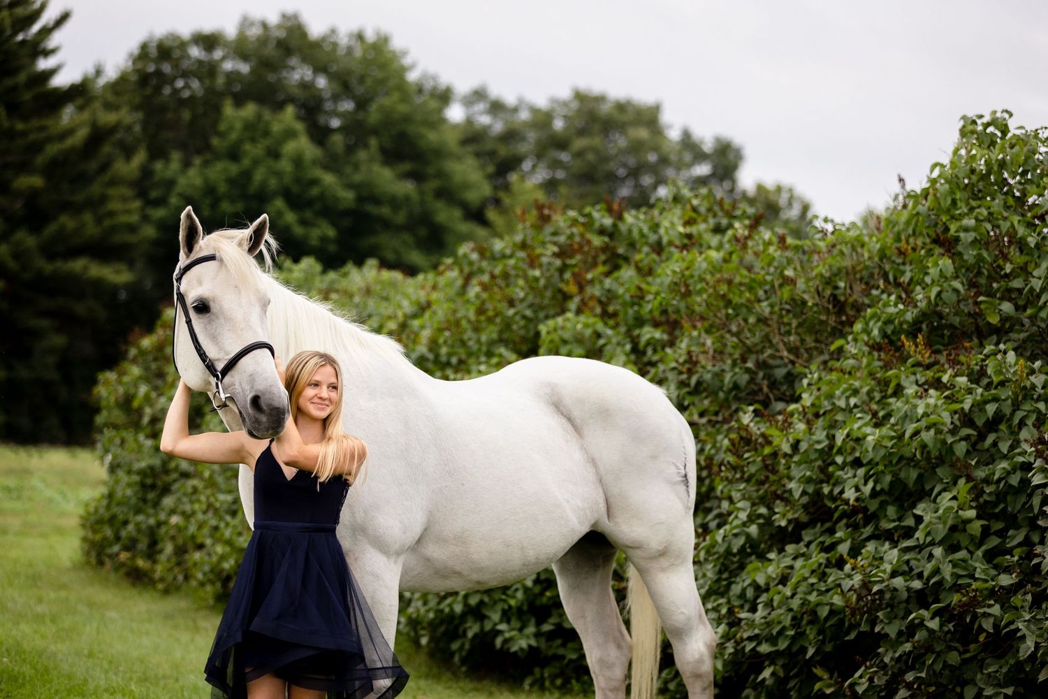 Draft Cross mare navy blue gown young girl portrait equine photography session