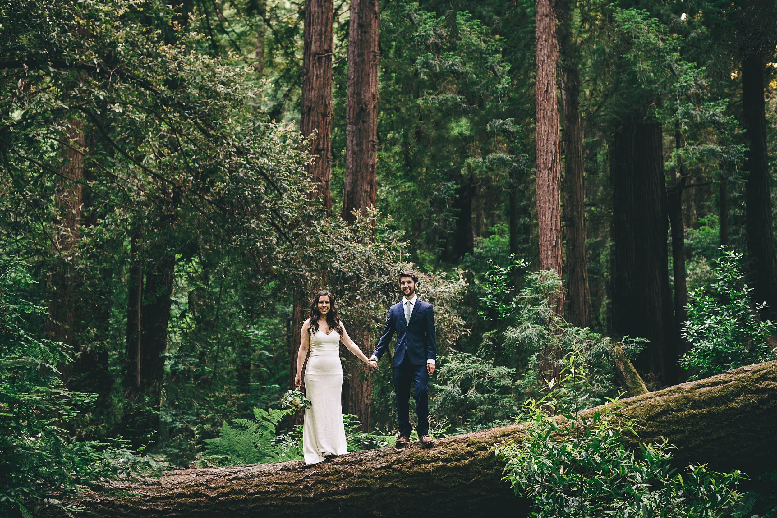 bride and groom on a fallen redwood tree surrounded by other redwoods.