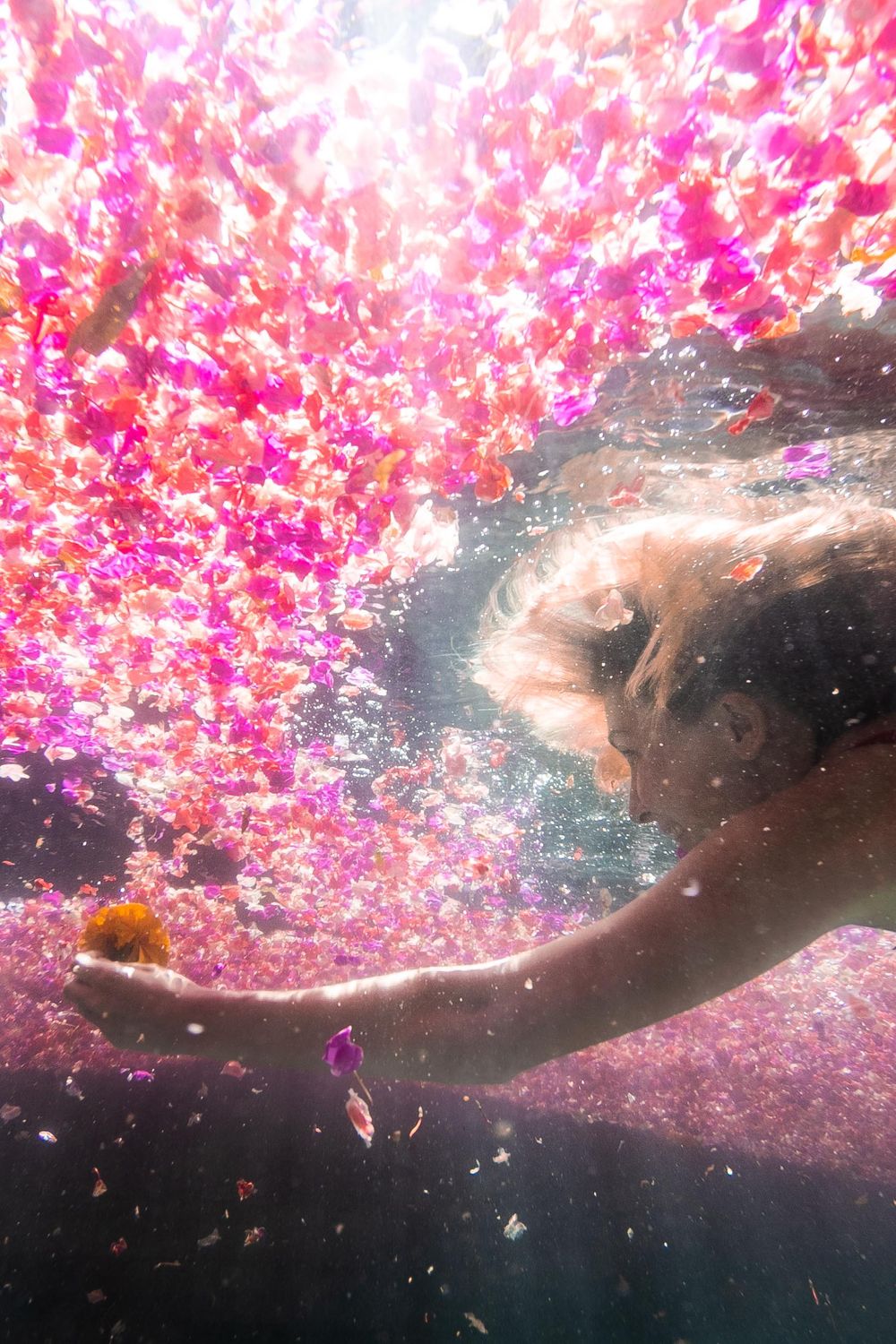 girl holding an orange flower underneath a sea of flowers