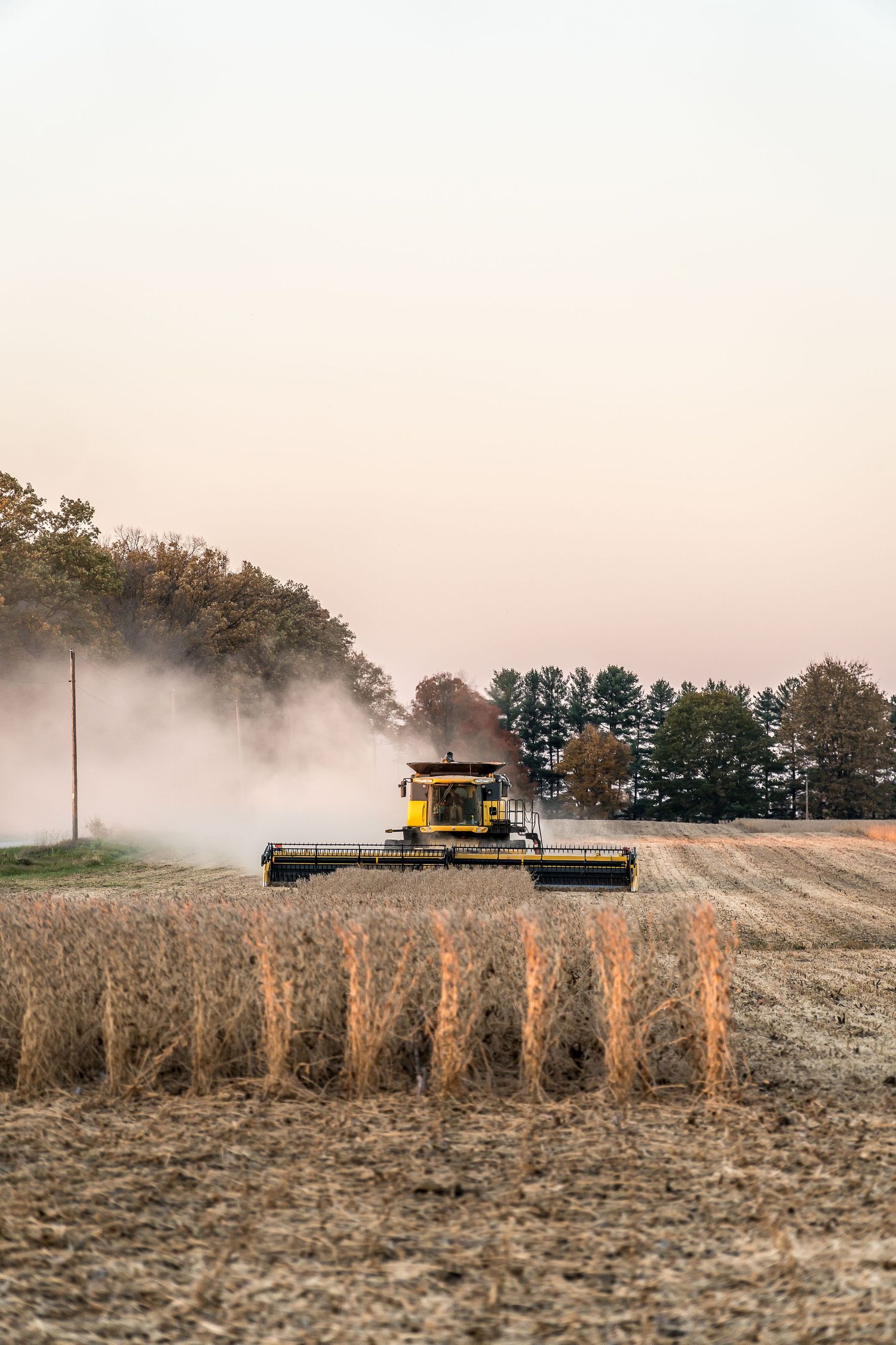 Combine harvester working in misty field during autumn harvest.