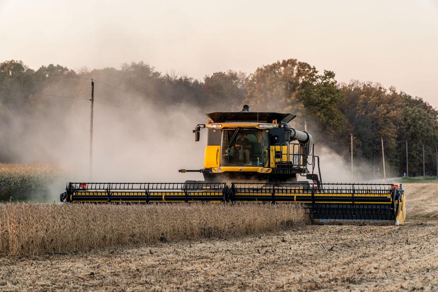 Yellow combine harvester cutting through soybean field with dust cloud.