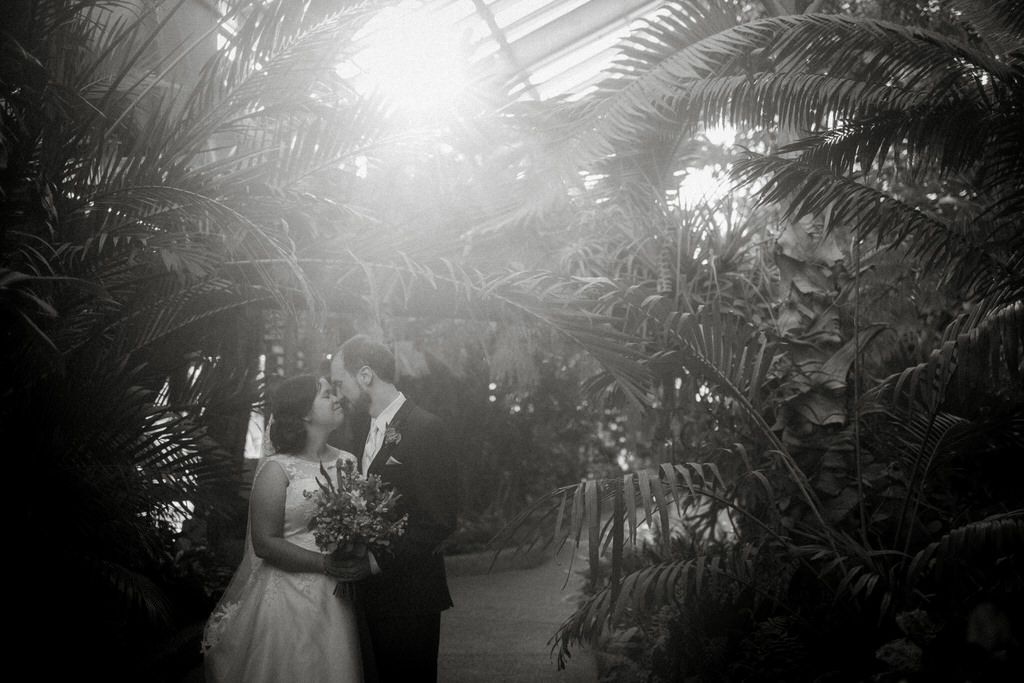 Romantic garden wedding ceremony with soft sunlight filtering through palm fronds.