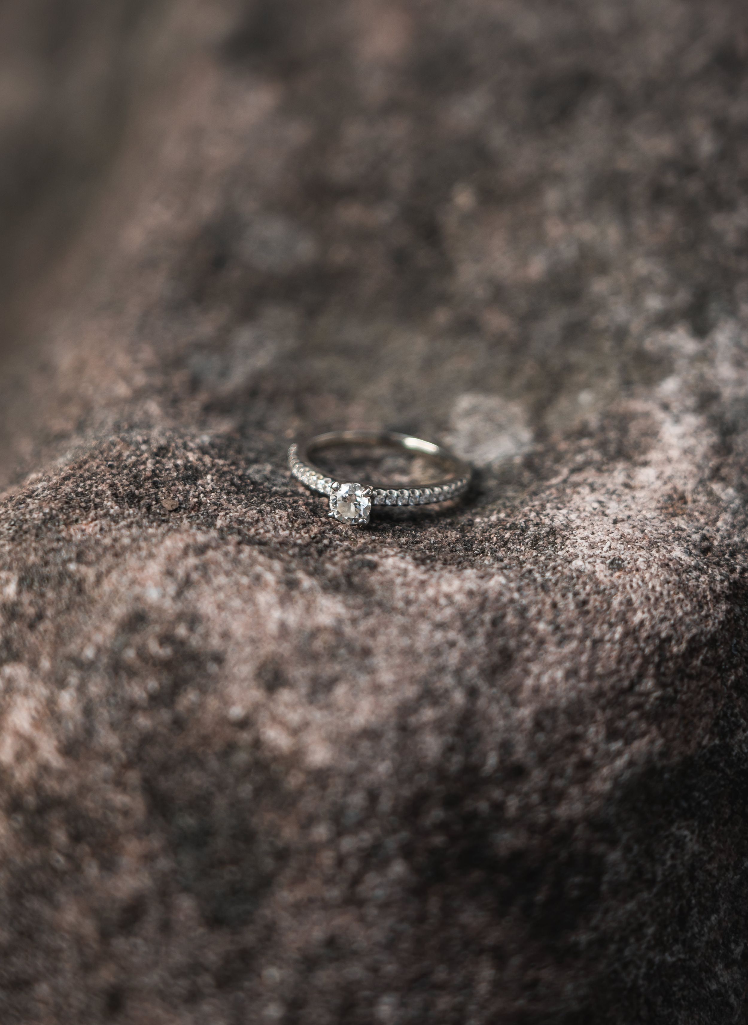 Lehigh Valley Wedding Elopements Venues Micro Minimonys COVID-19 Cornavirus Hickory Run Boulder field