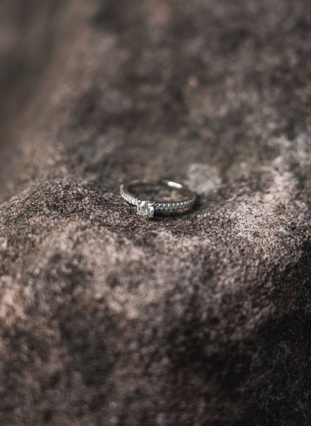 Lehigh Valley Wedding Elopements Venues Micro Minimonys COVID-19 Cornavirus Hickory Run Boulder field