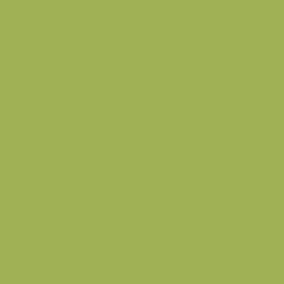 Touch Lime Metal Album Colour Swatch