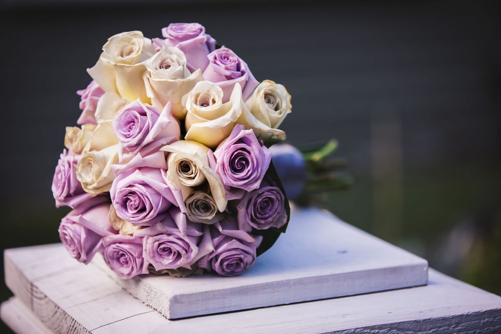 Paramount Eventspace and Black Creek Pioneer Village Woodbridge Wedding Photos